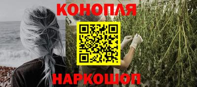 трава Гатчина