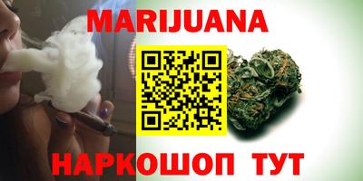 трава Гатчина