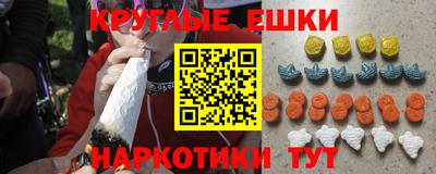 дмт Гай
