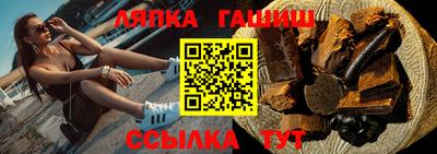дмт Гай