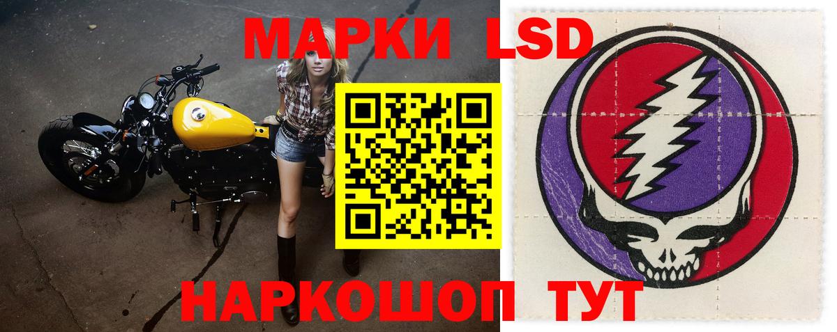 Новошахтинск  LSD-25 экстази кислота  Вход с VPN  Лсд 25 экстази кислота 