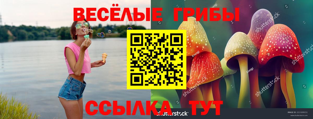 Галлюциногенные грибы мицелий Новошахтинск